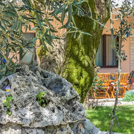 Ideal For Families With Pets Пула