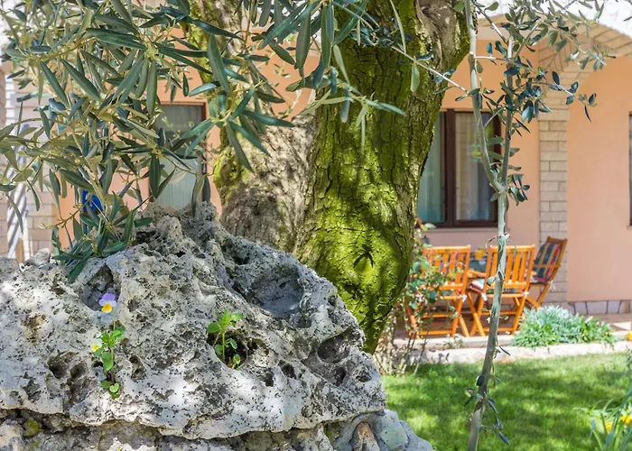 In Near The Sea Πούλα